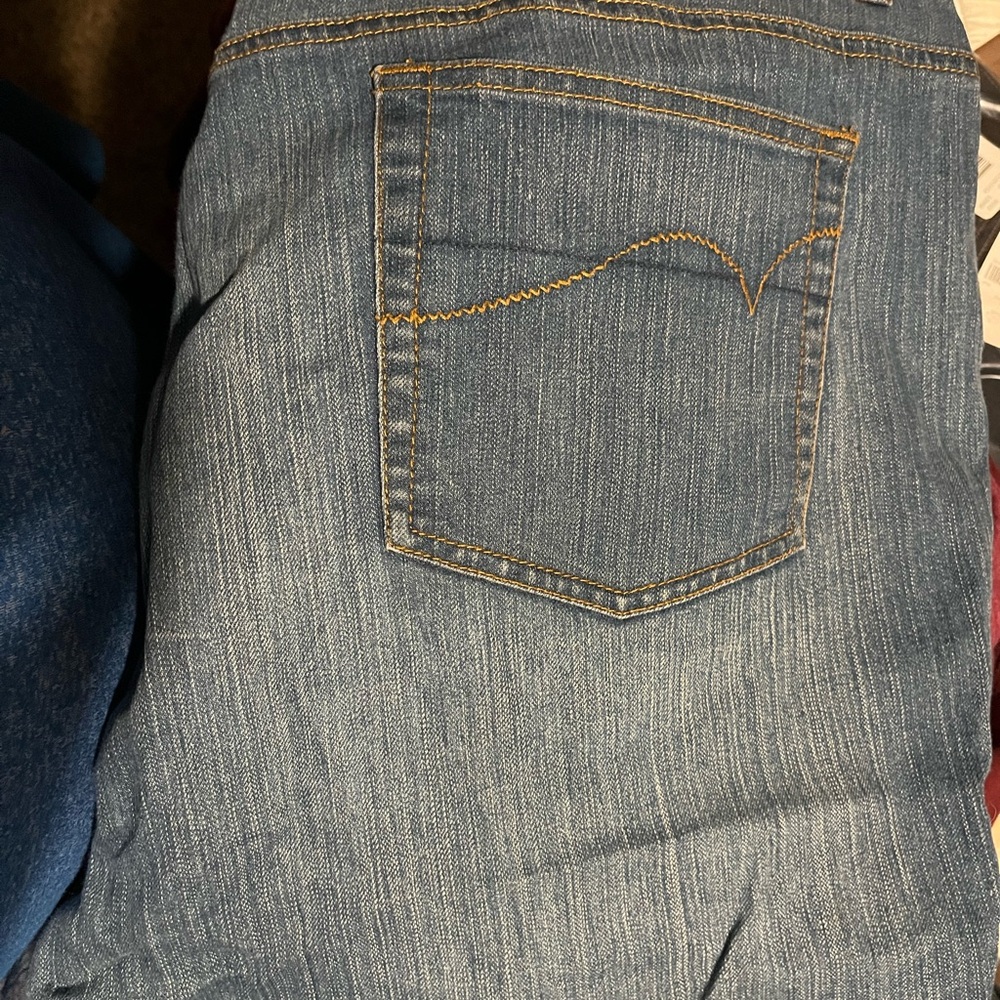 Lane Bryant Size 26 Petite Jeans